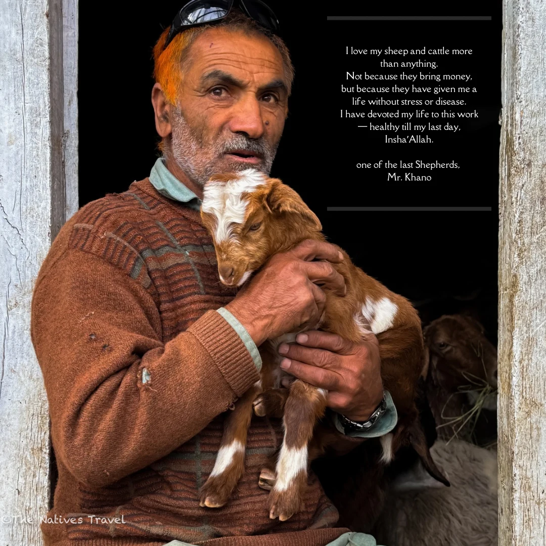 Shepherd Mr. Khano holding a young goat beside a caption about his life caring for sheep and cattle.